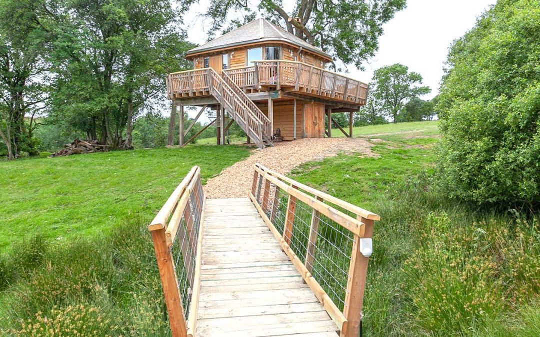5 Reasons you need to stay at Squirrels Nest