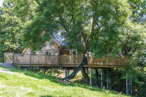 Prince Llywelyn Treehouse in wales with hot tub